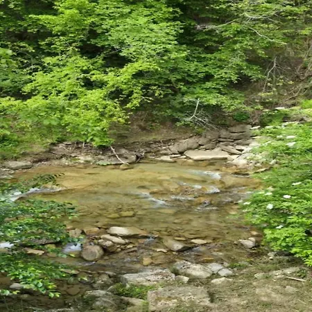 Appartamento Sauna Retreat In Sulz