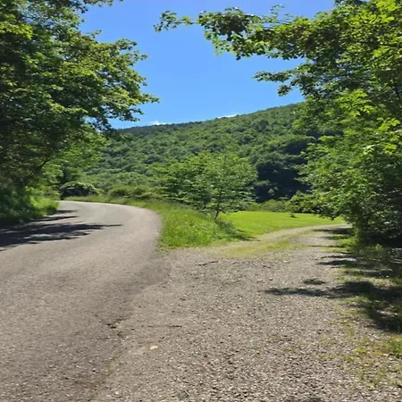 Sauna Retreat In Sulz Appartamento *